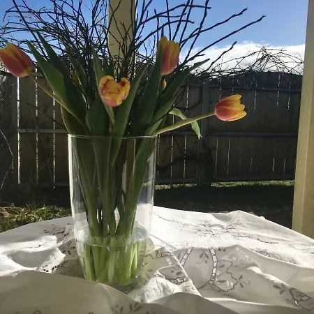 Kleines Haus Am Hafen - Ruhig Und Gruen Am Ortsrand 펜션 *